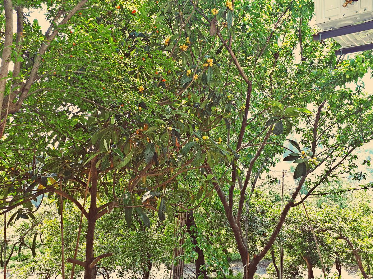 Apartments Sunset Paradise Makhinjauri Exteriér fotografie
